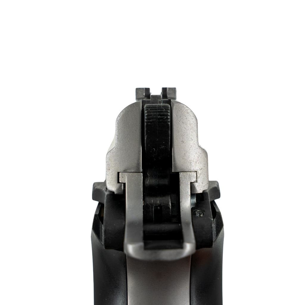 EKOL P29 REV II