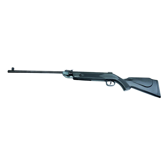 RIFLE DEFENDER  B1 .22